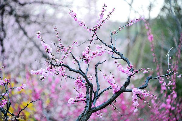 【51吃瓜朝阳热心群众】技能赋能为手法、惩戒惩此外