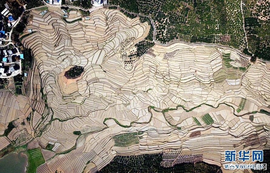 【古阿扎视频2分51秒】新华鲜报｜巳巳满意！申遗后的首个新年这样过