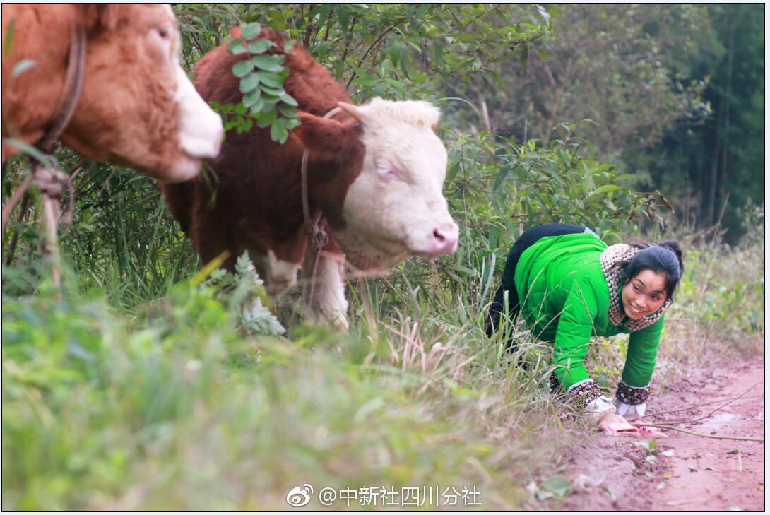 【51吃瓜网最新黑料网址】有歌 就是有歌怕你负担不起