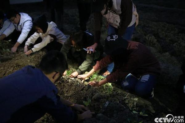 【吃瓜网站app下载】河南蛇年新年大数据：大年初一 68％在豫春节人员出门玩耍购物｜立方稀有