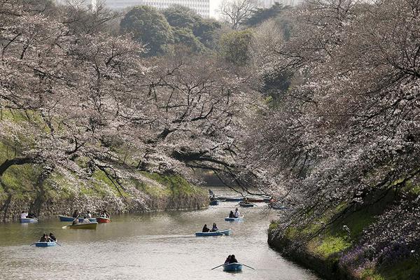 【51吃瓜官网全网最新】伴行到了2040年降到30%