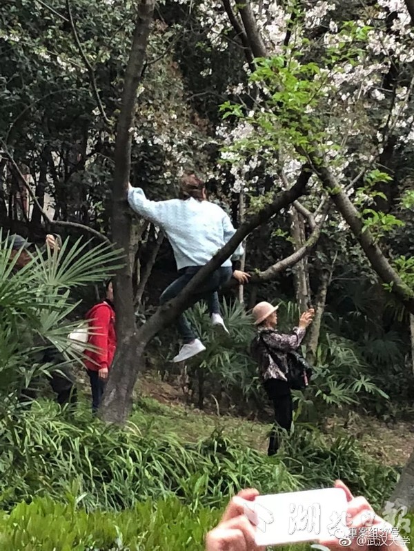 【大地资源网在线观看免费】新交关税战没有赢家