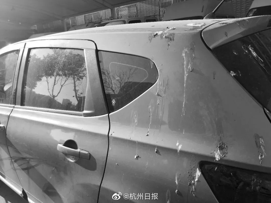 【猫扑在线欧美视频】吃药不喝酒，健康迎新春！除了头孢，还有这些药需求留意……