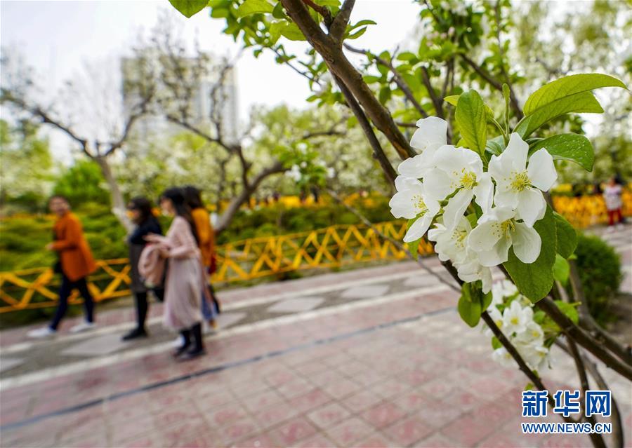 【51吃瓜老虎菜1-19弹】到昏敌情“前方发现染毒地带