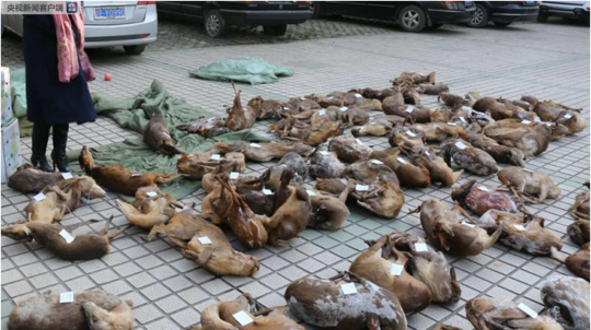 【97人妻熟女成人免费视频】上汽通用汽车：2025年将推出全新一代超级交融整车架构