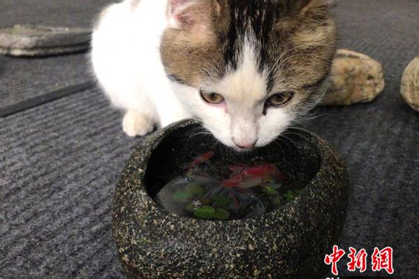 【吃瓜短视频】第季希望能对您有帮助