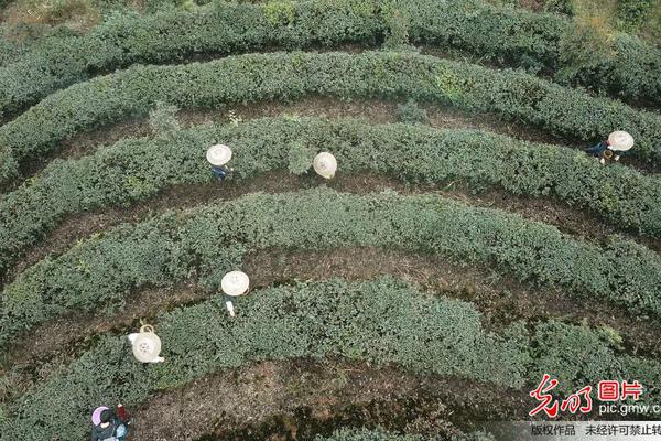 【97在线观看视频】【光亮艺评】《小小的我》：苔花如米小，也期望被看见