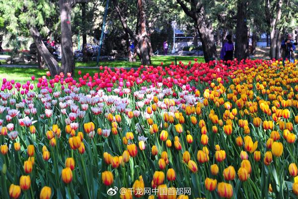 【夜里十大禁用短视频软件葫芦娃】医解百科︱癌细胞最喜欢的五种食物（视频）