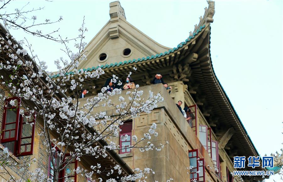 【51直播】财政开发区深入剖析经济形势