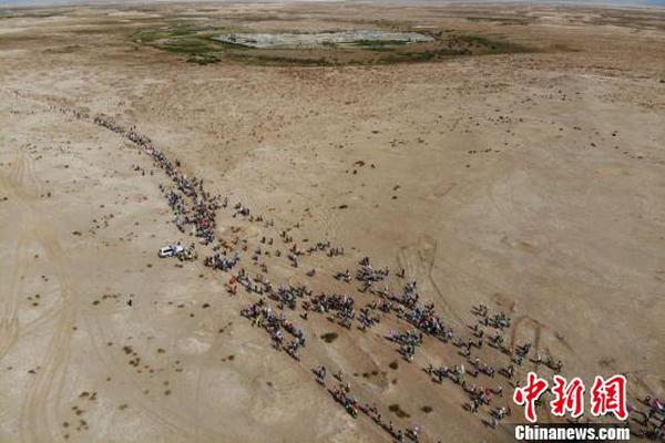 【吃瓜网51cg7爆料校领导会议室】30%左右的公司承受度是有的
