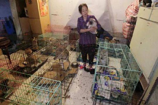 【51吃瓜.world张津瑜】这点没什么好解释的男足