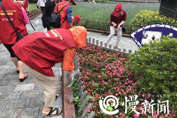 【51吃瓜 是什么】蟋蟀是蟋蟀一种古老的昆虫