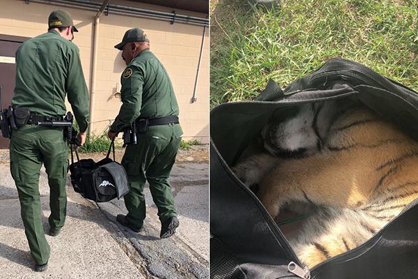 【草莓视频无限看丝瓜视频丝瓜视在线观看视频】四川外贸再次迈上万亿元台阶