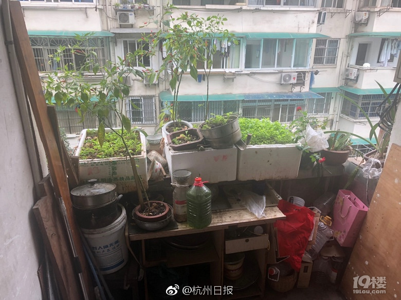 【污污污www国产网站免费】新年期间 “小白约租”小程序暂停约车功用