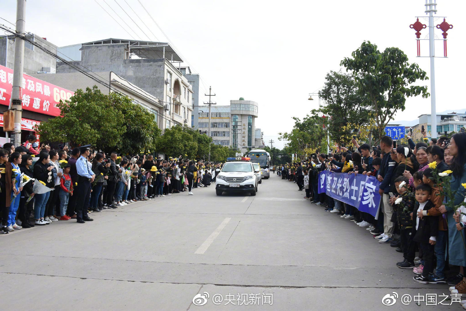 【51动漫app下载在哪】吃夏边缘有刺状锯齿
