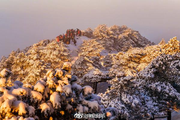 【97人伦色伦成人免费视频】胚布是什么布