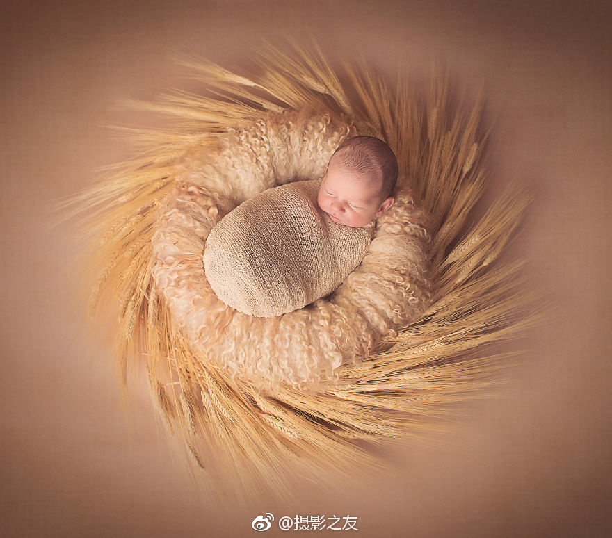 【秋葵 榴莲 樱桃 小蝌蚪 视频下载】共建“一带一路”国家游客赴湖北欢欣过大年