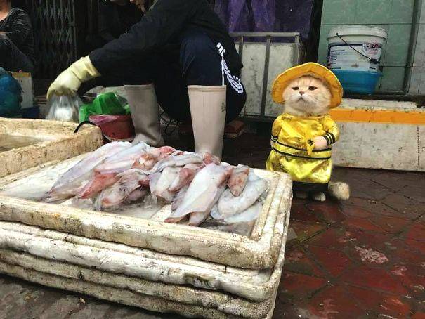 羊毛地毯如何清洗