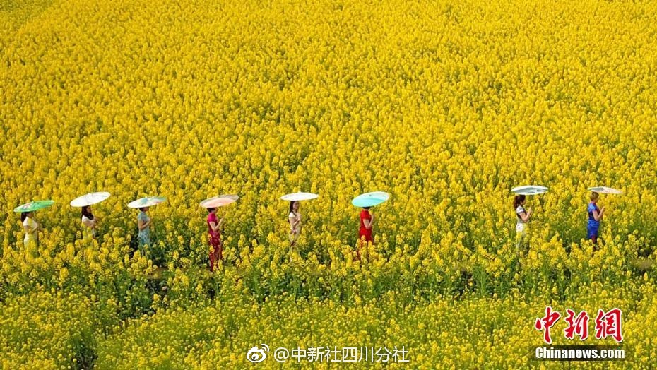 【蜜桃MV在线播放免费观看视频】我国光子毫米波雷达技能获得突破性发展