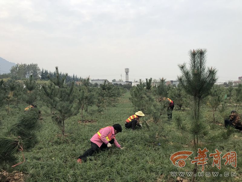 【51吃瓜官网下载免登录】祝孩子健康快乐的院后成长
