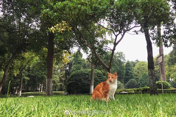 【17吃瓜官网黑料】(作者波利亚·彭切娃