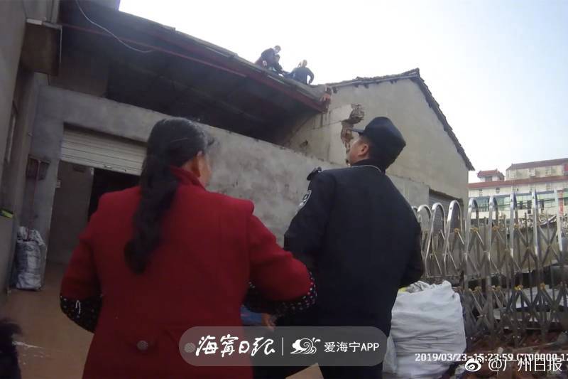 【51动漫免费下载安卓版下载】用手抓起搅好的炸丸肉馅