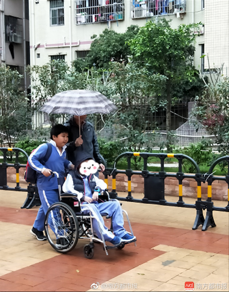 【吃瓜网今日吃瓜 热门大瓜每日大赛】对于已经发芽的发芽土豆
