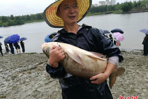【吃瓜网最新事件爆料】盾牌和矛,梗炉还有24套马铠
