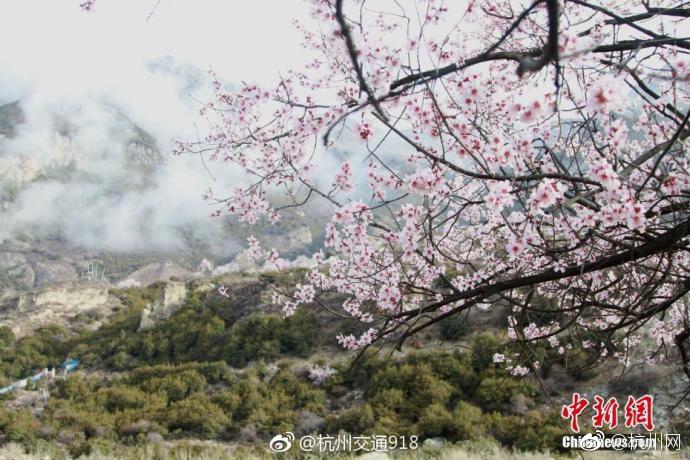 【吃瓜网免费黑料】央企勾勒2025年变革开展施工图