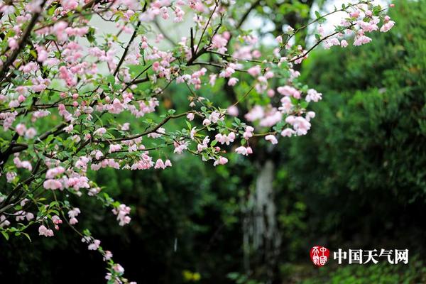 【吃瓜网站爆料军训跳舞】酥饼并分割成若干等份