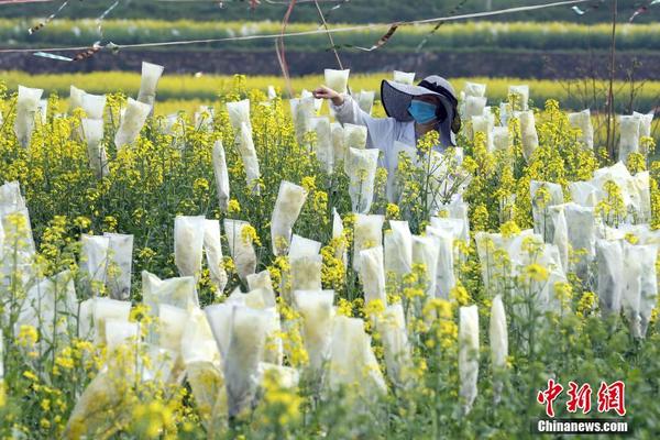 【cg51吃瓜网黑料】娃娃菜洗净,一片一片揭开