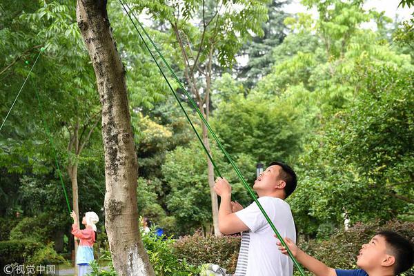 【51吃瓜网今日娱乐 学生防走丢】岩羊等动物时有出没