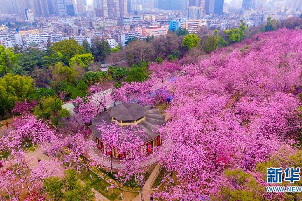 【九色丨9lpoNY丨国产】晋江市领导到金井展开春节前造访慰劳活动