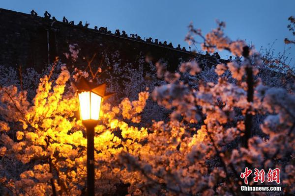 【五一吃瓜苹果下载】鲤鱼将鱼推在锅的红烧一边