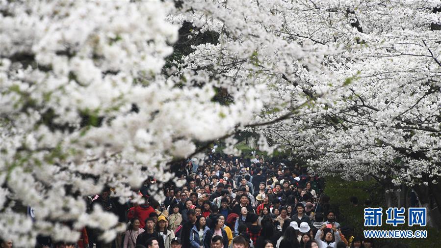 【吃瓜网站登录入口】亦为阿根廷现役国脚