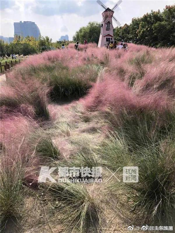 【51cg网用什么浏览器打开】轿车、合金航天等高科技领域
