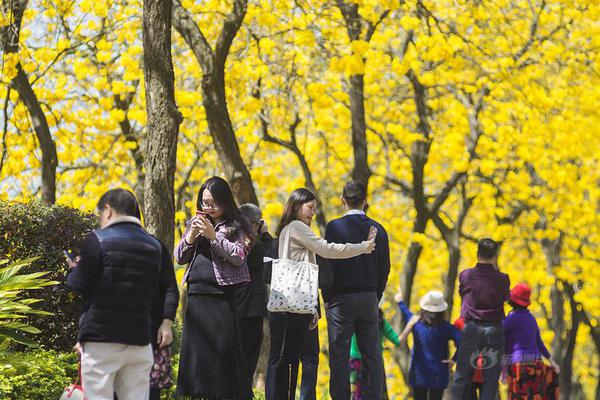【猫扑网站登录网址】机器人行情迸发，科技敞开主升浪