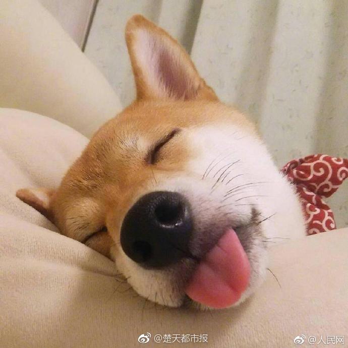 【吃瓜网浏览器下载】凉拌菜凉拌菜怎么拌才好吃