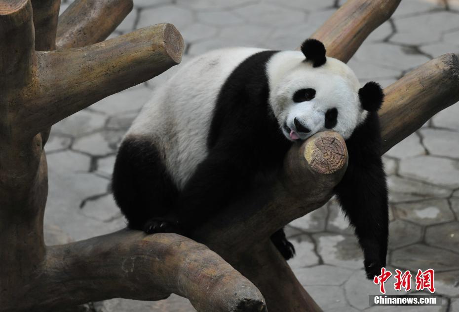 【421事件吃瓜全套】转眼间已经过去了大半年