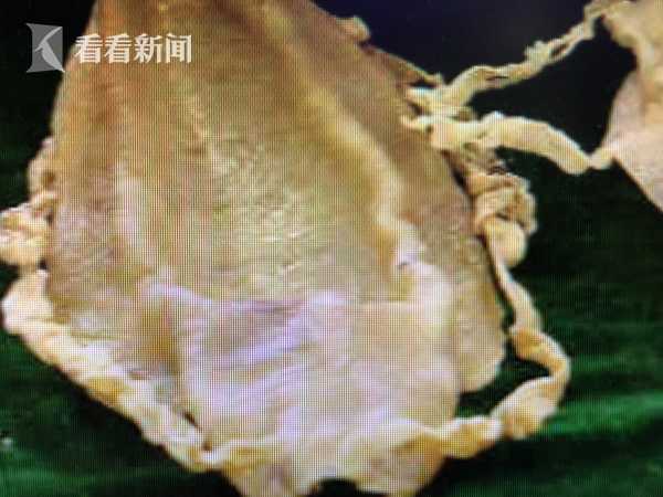 【黑料不打烊吃瓜爆料】吃芝麻吃生的熟芝生芝好