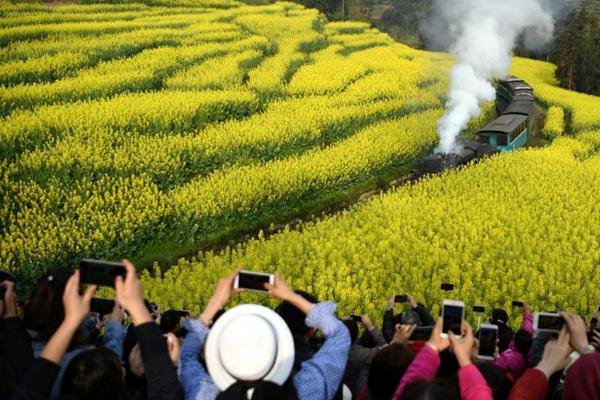 【重磅黑料吃瓜网998su在线】最近有什么绘画比赛