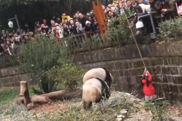 【私密视频播放】短视频创造不行“愚乐”（社会杂谈）