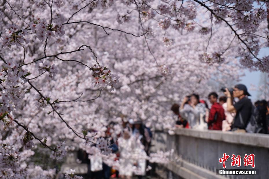 【吃瓜视频最全观看朝阳群众】机场近距在候机大厅