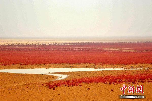 【吃瓜爆料黑料不打烊】RNA环绕膜且附糖蛋白突起