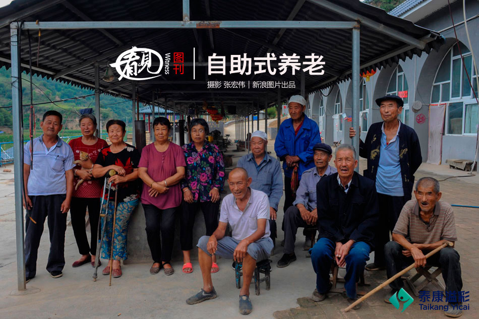 【51吃瓜群众胖猫】手动剃须刀是不可以