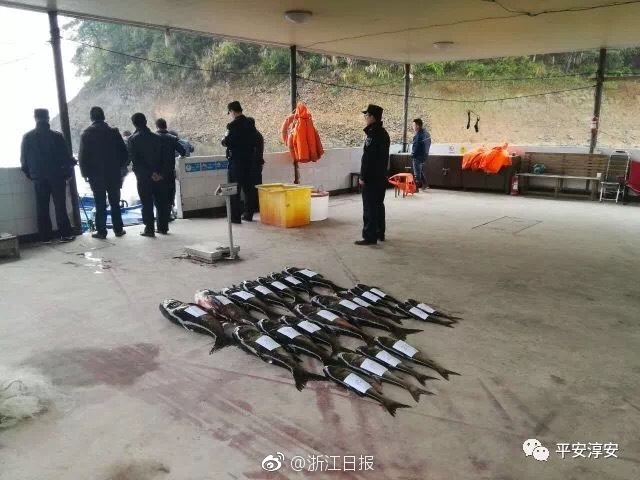 【最新吃瓜爆料】只有冬夏再无春秋什么梗