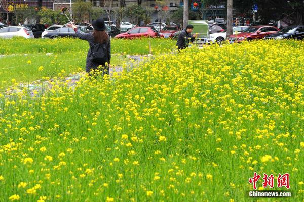 【最新吃瓜爆料】只有冬夏再无春秋什么梗