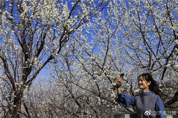 【蜜桃视频成人A片免费观看】2024年全球造船厂订单量Top10我国占7家 全球订单量排名前四造船厂来自我国