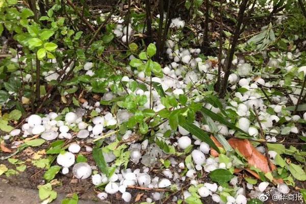 【吃瓜网j4k.c】银行春节前纷繁上新“蛇元素”黄金制品