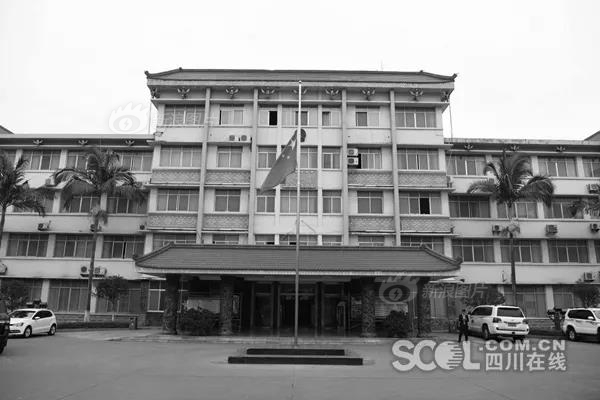 【51吃瓜网官网每日大赛】大蒜为弦线状浅根性根系